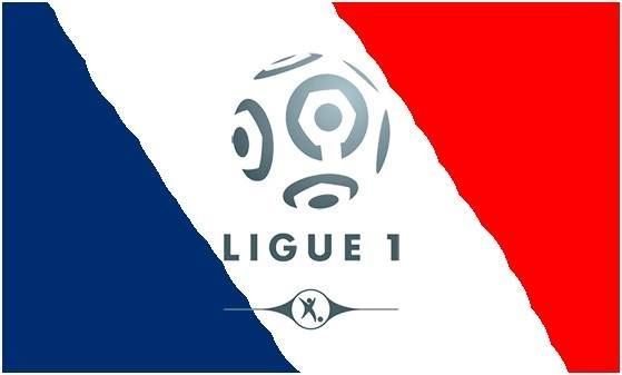 Чемпионат Франции в сезоне 2018-2019